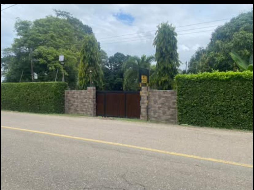 Finca Raiz